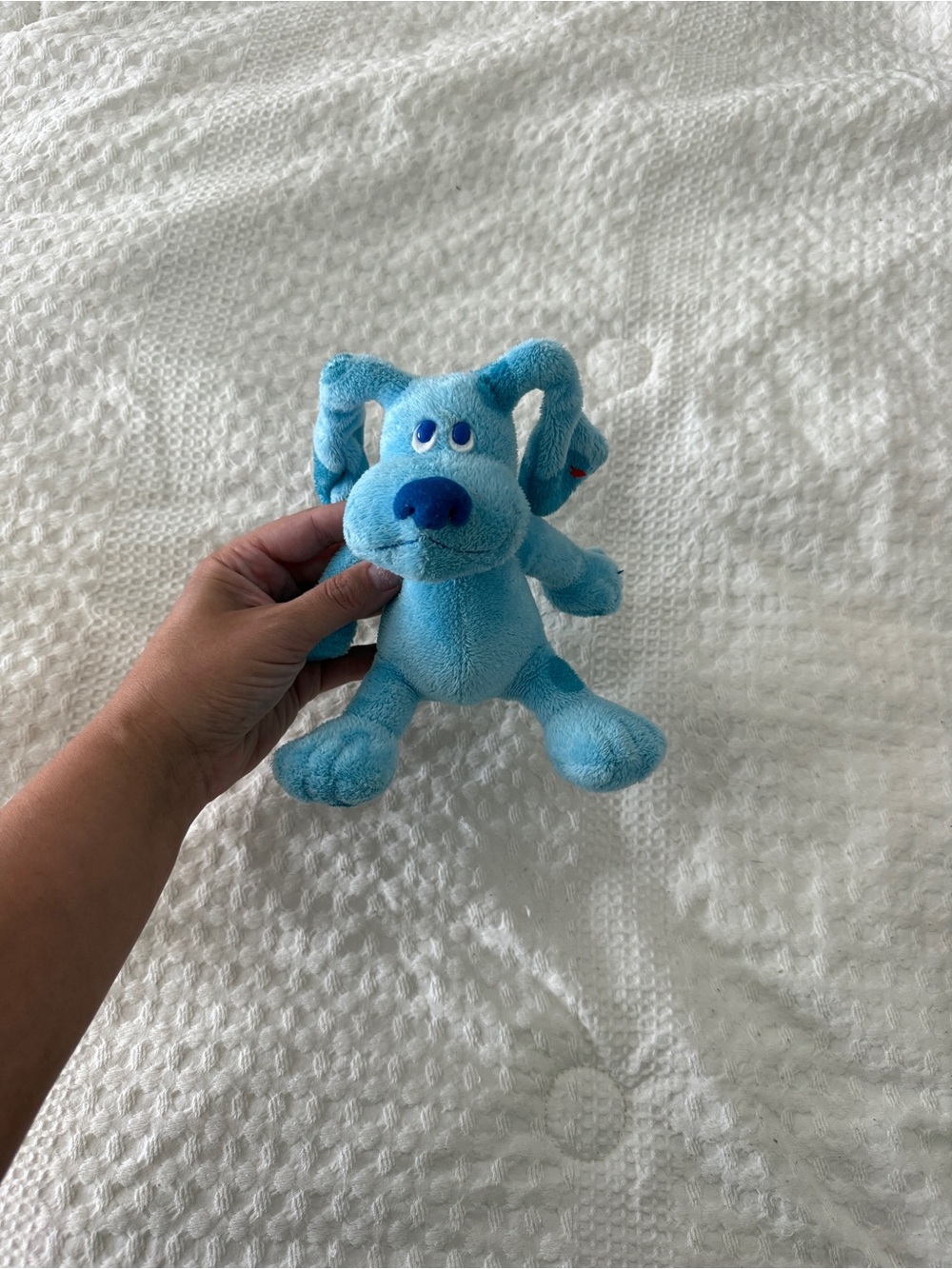 Blues Clues Plush Dog Toy - Soft Stuffed Puppy
